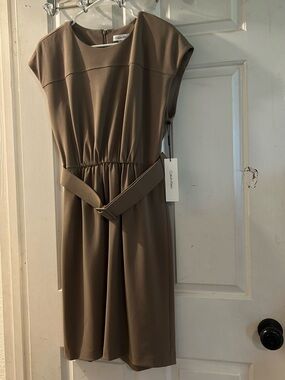 Calvin Klein Taupe Belted Midi Dress